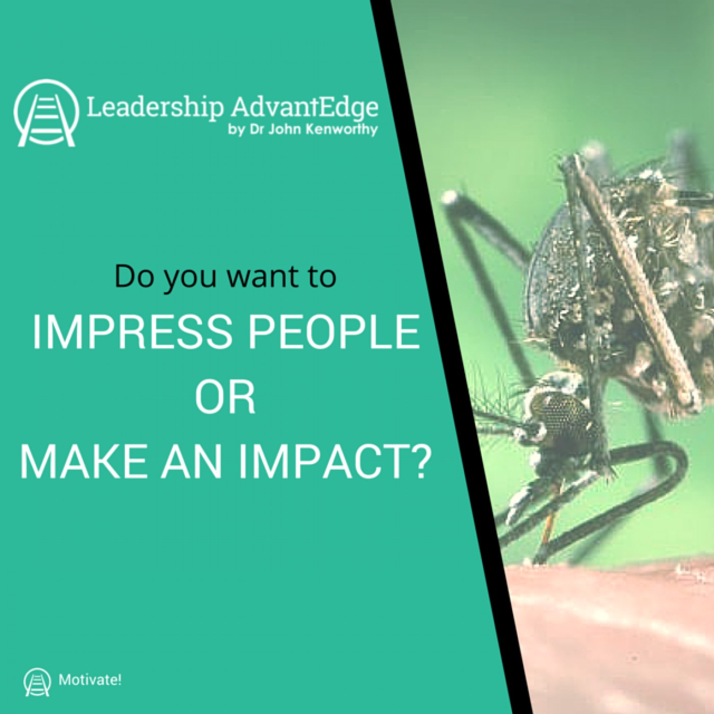 LA 029: Do you Want to Impress People or Make an Impact?