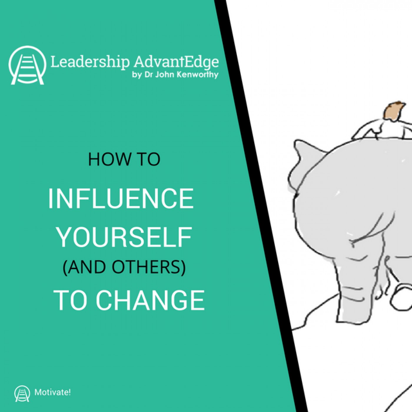 LA 042: The Elephant and the Rider - How to Influence Change